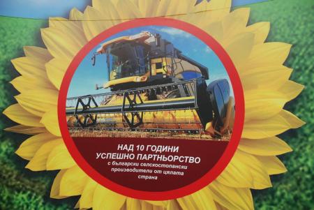 Слънчоглед Дизелор